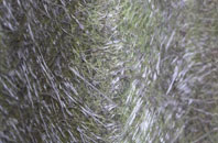 Dunford Bridge fibreglass roof work